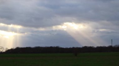 Su birikintisine düşen su damlaları 