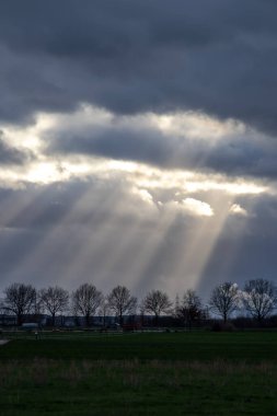 Sunrays through rain clouds shine moody sun beams on a forest and green meadow in rural scenery with dramatic sky and atmospheric mood in evening sky with crepuscular light after storm on rainy day