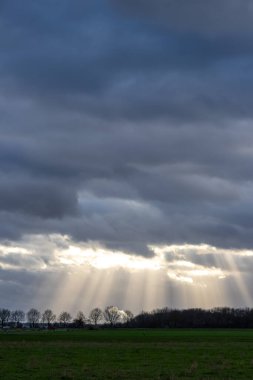 Sunrays through rain clouds shine moody sun beams on a forest and green meadow in rural scenery with dramatic sky and atmospheric mood in evening sky with crepuscular light after storm on rainy day