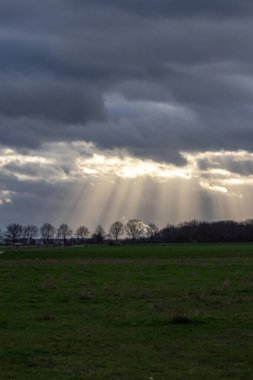 Sunrays through rain clouds shine moody sun beams on a forest and green meadow in rural scenery with dramatic sky and atmospheric mood in evening sky with crepuscular light after storm on rainy day