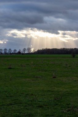Sunrays through rain clouds shine moody sun beams on a forest and green meadow in rural scenery with dramatic sky and atmospheric mood in evening sky with crepuscular light after storm on rainy day