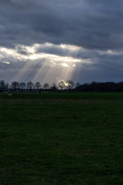 Sunrays through rain clouds shine moody sun beams on a forest and green meadow in rural scenery with dramatic sky and atmospheric mood in evening sky with crepuscular light after storm on rainy day