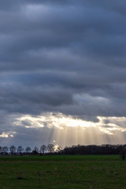 Sunrays through rain clouds shine moody sun beams on a forest and green meadow in rural scenery with dramatic sky and atmospheric mood in evening sky with crepuscular light after storm on rainy day