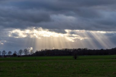 Sunrays through rain clouds shine moody sun beams on a forest and green meadow in rural scenery with dramatic sky and atmospheric mood in evening sky with crepuscular light after storm on rainy day