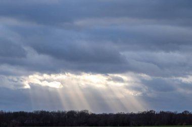 Sunrays through rain clouds shine moody sun beams on a forest and green meadow in rural scenery with dramatic sky and atmospheric mood in evening sky with crepuscular light after storm on rainy day