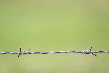 Old barbwire fence or military fence restricted agricultural field protects grassland of farmers and grazing cows with spikey and rusty spikes showing wool from grazing animals on rusty barbed wire