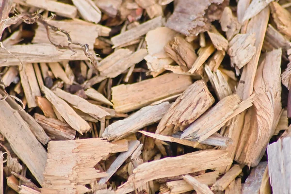 Many wood chips as wooden background in close-up macro view shows renewable resources and sustainable materials with wooden shavings and woodcuts recycling for playgrounds and pellet heating materials