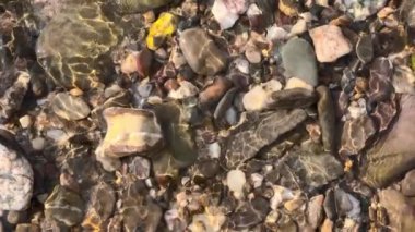 Animated stones in flowing water show silky ripples of crystal clear river water with smooth beautiful light effects over rocky pebbles in healthy environment on the bottom of the river bed sunshine