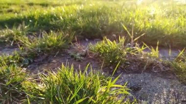 Bulanık şehir trafiği arka planında şehir trafiğinde hareket halindeki otomobiller şehir sokaklarında ve şehir taşımacılığı sektöründe kamyonlar ve otomobiller trafiğin yoğun olduğu saatlerde kasabalarda geziyor.