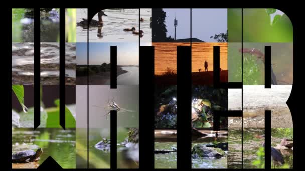 Collage Animado Videos Agua Palabra Muestra Múltiples Videos Superficie Agua — Vídeo de stock