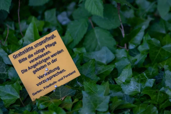 Plaque Signalétique Plante Verte Dans Jardin — Photo