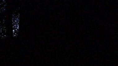 Karanlık orman ve karanlık ağaç siluetleri ile mavi saat günbatımı gizemli atmosfer yaratır ve cadılar bayramı atmosferi ürkütücü ağaçlar ve karanlık orman siluetleri ve gizemli filmler için mavi günbatımı ışığı