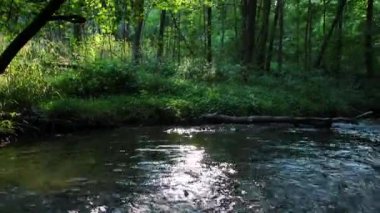 Sakin ve huzurlu nehir suyu yeşil bir orman manzarasında, sakin derede ipeksi dalgalar ve taşlar ile berrak su ve harika sağlıklı çevre ile yürüyüş turizmini rahatlatıyor.