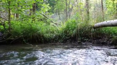 Sakin ve huzurlu nehir suyu yeşil bir orman manzarasında, sakin derede ipeksi dalgalar ve taşlar ile berrak su ve harika sağlıklı çevre ile yürüyüş turizmini rahatlatıyor.