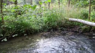 Sakin ve huzurlu nehir suyu yeşil bir orman manzarasında, sakin derede ipeksi dalgalar ve taşlar ile berrak su ve harika sağlıklı çevre ile yürüyüş turizmini rahatlatıyor.