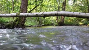 Sakin ve huzurlu nehir suyu yeşil bir orman manzarasında, sakin derede ipeksi dalgalar ve taşlar ile berrak su ve harika sağlıklı çevre ile yürüyüş turizmini rahatlatıyor.