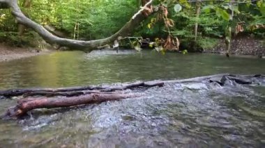 Sakin ve huzurlu nehir suyu yeşil bir orman manzarasında, sakin derede ipeksi dalgalar ve taşlar ile berrak su ve harika sağlıklı çevre ile yürüyüş turizmini rahatlatıyor.