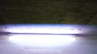 Garajda titreşen neon tüp, korkunç arıza ve neon lambaların işlevsizliği. Cadılar Bayramı atmosferinde yanıp sönen, alarm veren ya da tehdit eden ya da Cadılar Bayramı atmosferinde dramatik karanlık gaz lambası ve hata anahtarı.