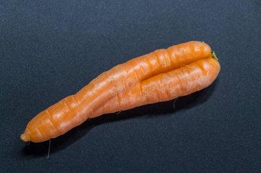 Crooked carrots on black background from organic farmer as symbol for couple in love and togetherness as bent carrots or incontinence and vaginal fungus or healthy nutrition natural grown at home clipart