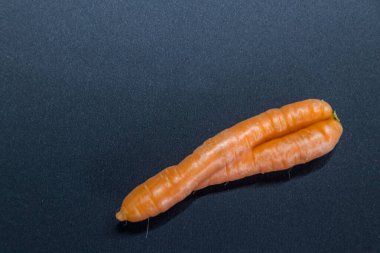 Crooked carrots on black background from organic farmer as symbol for couple in love and togetherness as bent carrots or incontinence and vaginal fungus or healthy nutrition natural grown at home clipart