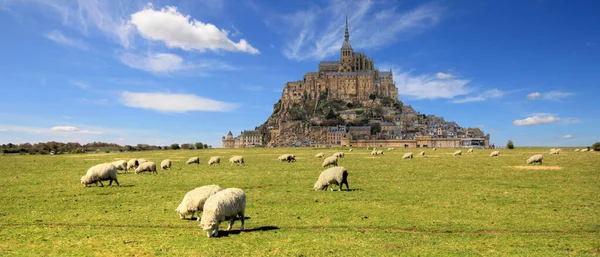 Mont Saint Michel Normandy Fransa Telifsiz Stok Imajlar