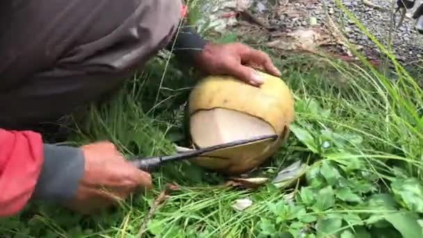 Viejo Hombre Abre Con Cuchillo Maduro Coco Fresco Asia — Vídeo de stock