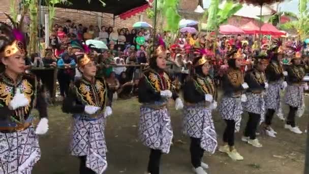 Jathilan Арт Острова Ява Однієї Різних Культур Індонезії — стокове відео