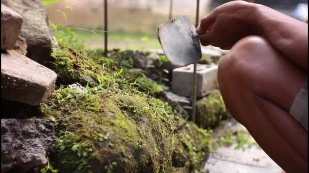 地面から苔や草を清めている映像です — ストック動画
