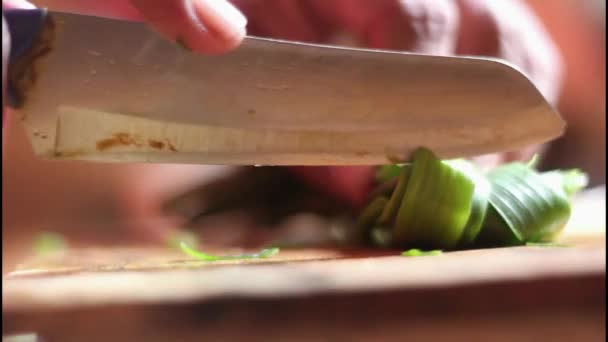 手を握ってナイフを切って グリーン玉ねぎを切る 木製カッティングボードのナイフでスライス キッチンで野菜を調理する — ストック動画