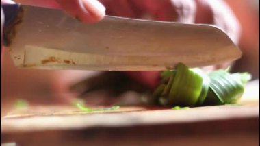Bıçak tutan el, yeşil soğan doğrayan. Tahta bir kesme tahtasının üzerinde bıçakla doğramak. Mutfakta sebze pişiriyorum.