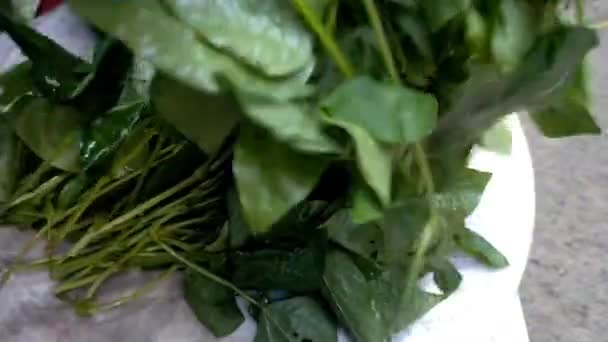 Sortierung Von Mbayung Blättern Die Gemüse Verarbeitet Werden Die Muttermilch — Stockvideo