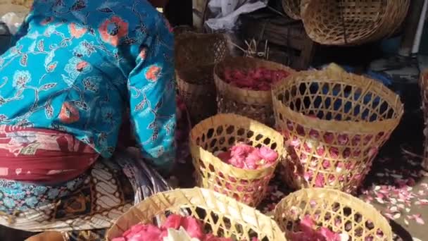 Sow Flower Seller Packing Basket — Vídeo de Stock