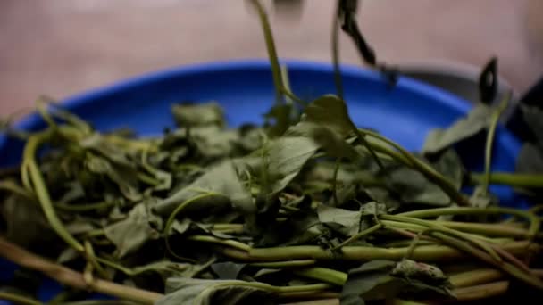 Sorting Kangkong Leaves Processed Vegetables — Stock Video