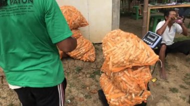 Mısır çiftçileri ekinlerini elektrik terazisiyle tartıyor..