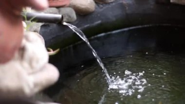 Gölette koi balığı. Hala biraz, çünkü daha yeni başladı..