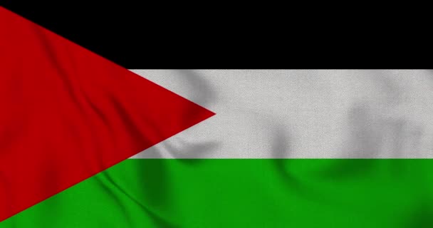 Палестинский Флаг Плавно Машет Крупным Планом — стоковое видео