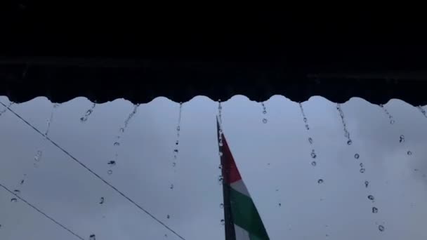 Banderas Palestinas Ondean Bajo Fuertes Lluvias — Vídeos de Stock