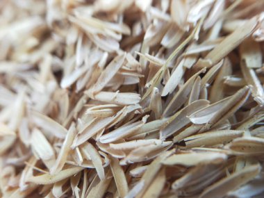 rice husk or husk, which is the outermost part of the rice grains after the milling process. clipart