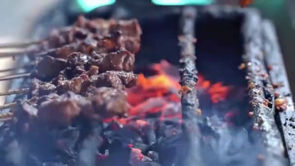 Rind Satay Und Chicken Satay Zusammen Von Der Seite Grillen — Stockvideo