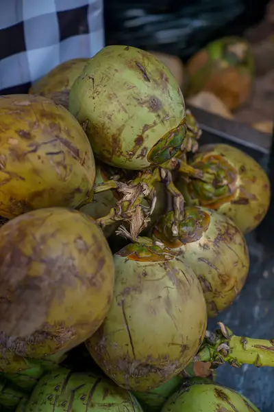 stock image Coconuts on display for sale to customers