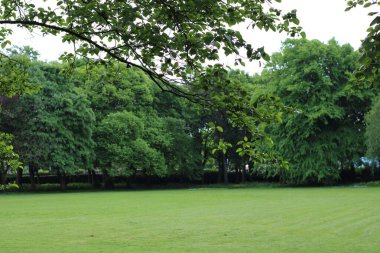 Yaz zamanı parkın güzel manzarası