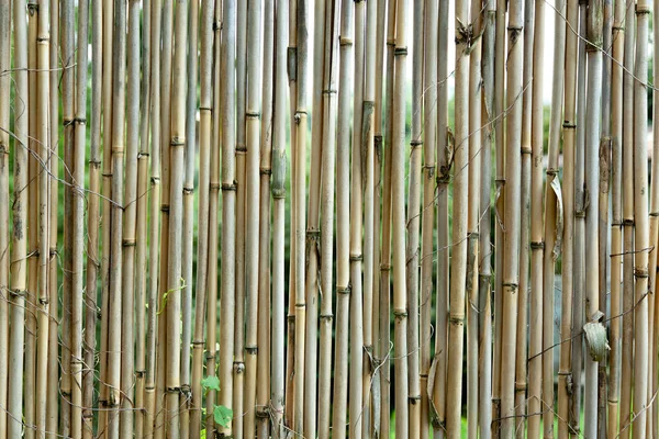 Alten Braunen Ton Bambus Planke Zaun Textur Für Hintergrund — Stockfoto