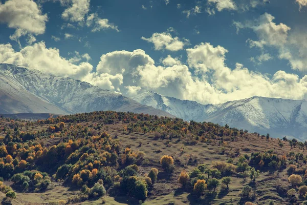 Piękny Las Górach Pod Niebem Tle — Zdjęcie stockowe
