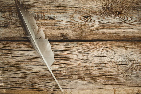 feather on the wooden table background
