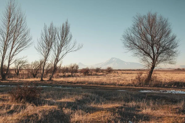 Árvores Montanha Ararat Sob Fundo Céu Azul — Fotografia de Stock