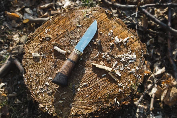 Arka planda ağaçta bıçak var.