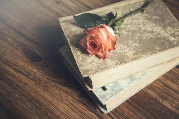 Троянда Книгах Фоні Столу — стокове фото