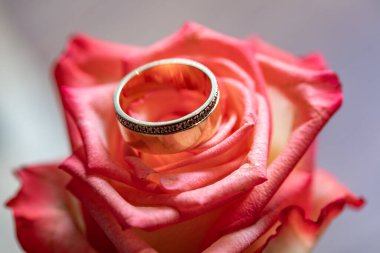 Pembe arkaplanda altın yüzük