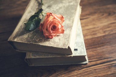 Tahta masadaki kitapların üzerinde gül