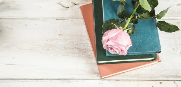 Rosas Sobre Livros Mesa — Fotografia de Stock